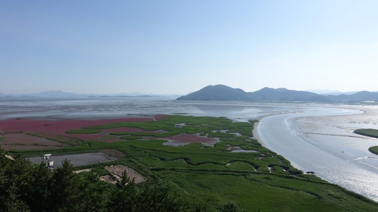 전라남도 순천만의 갯벌과 갈대밭이 펼쳐진 풍경
