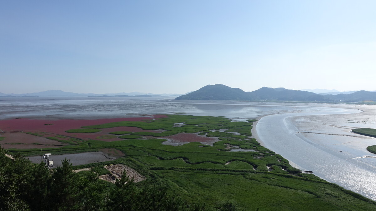전라남도 순천만의 갯벌과 갈대밭이 펼쳐진 풍경