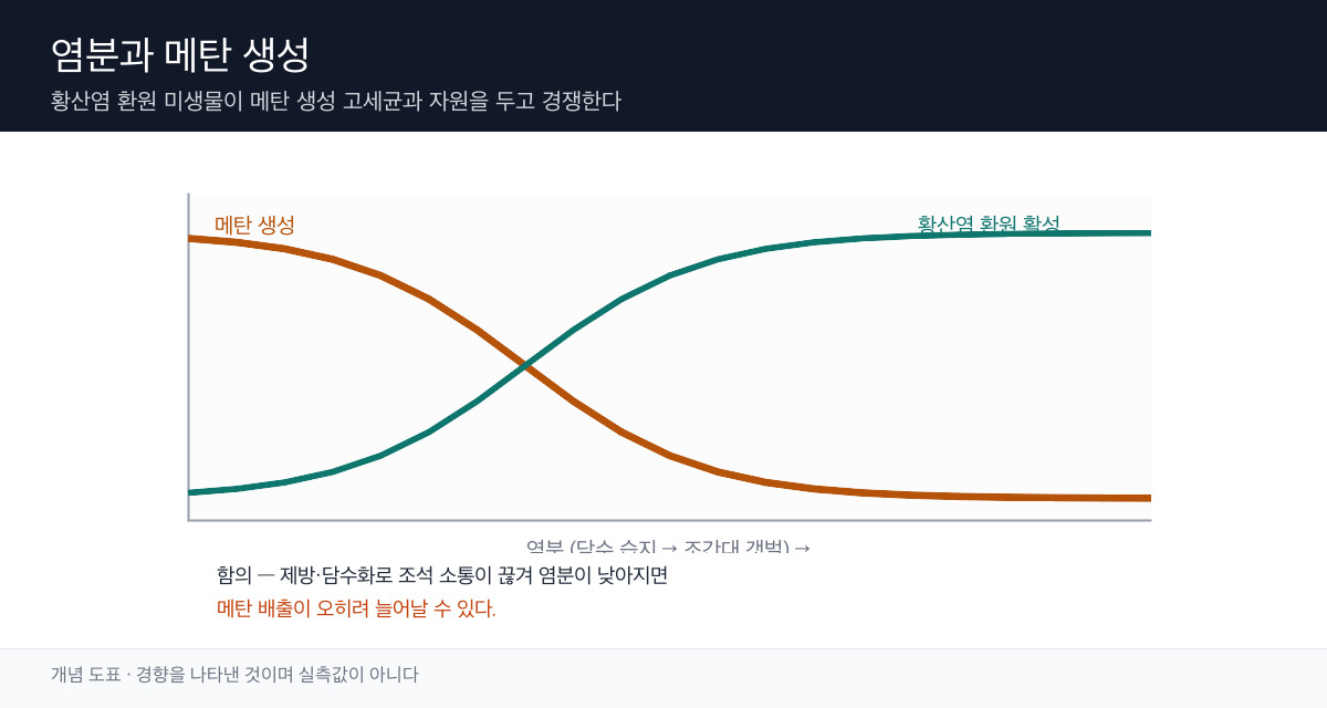 염분 증가에 따라 황산염 환원이 우세해지고 메탄 생성이 억제되는 관계를 나타낸 개념 도표