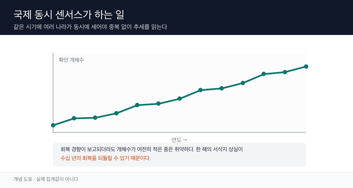 월동지별 계수를 합산해 전 세계 개체군 추세를 추정하는 과정을 나타낸 개념 도표