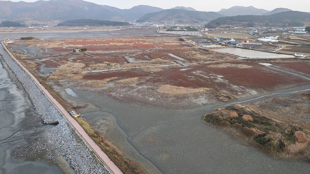 드넓게 드러난 고창 갯벌