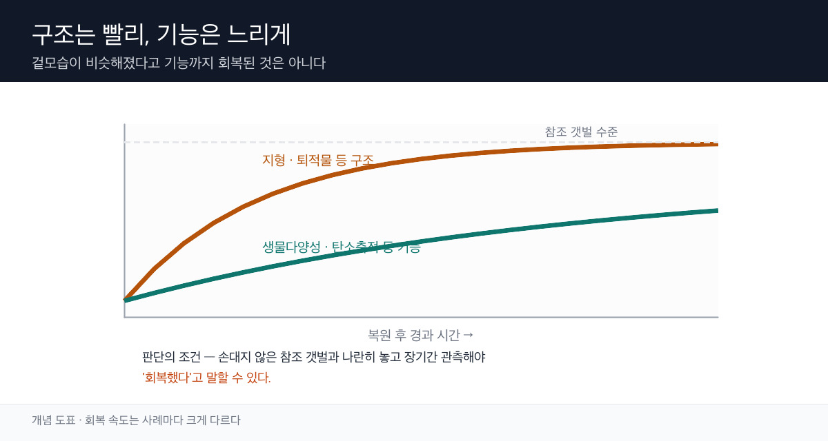복원지에서 구조적 지표와 기능적 지표의 회복 속도 차이를 나타낸 개념 도표