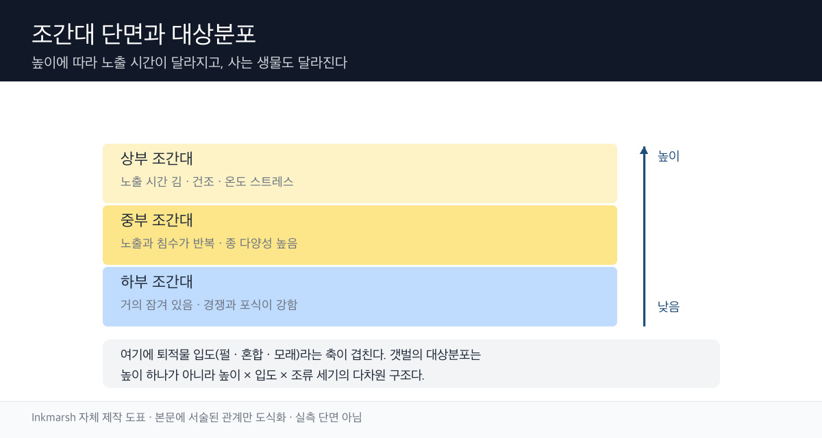 조간대 상부에서 하부로 갈수록 노출 시간이 줄고 생물 구성이 바뀌는 단면 모식도