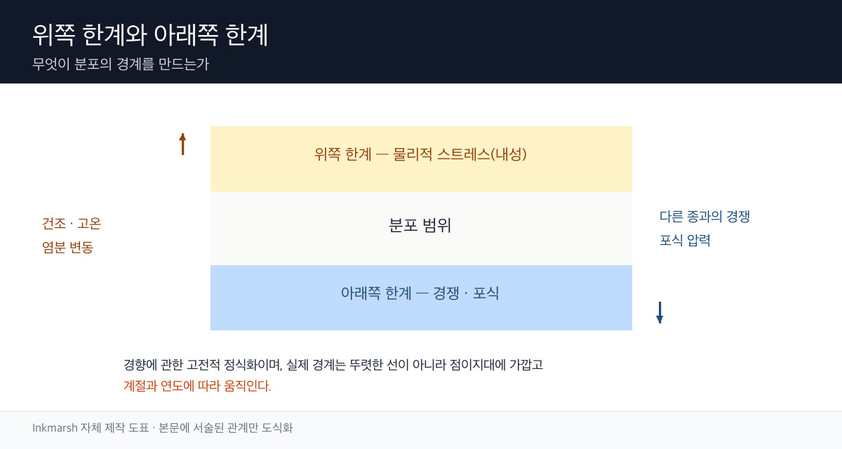 위쪽 한계는 물리적 스트레스, 아래쪽 한계는 생물적 상호작용이 결정하는 구조를 나타낸 개념 도표