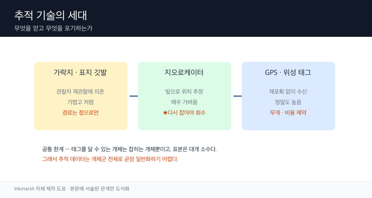 세 가지 철새 추적 기술의 원리·무게·자료 회수 방식·한계를 비교한 개념 도표