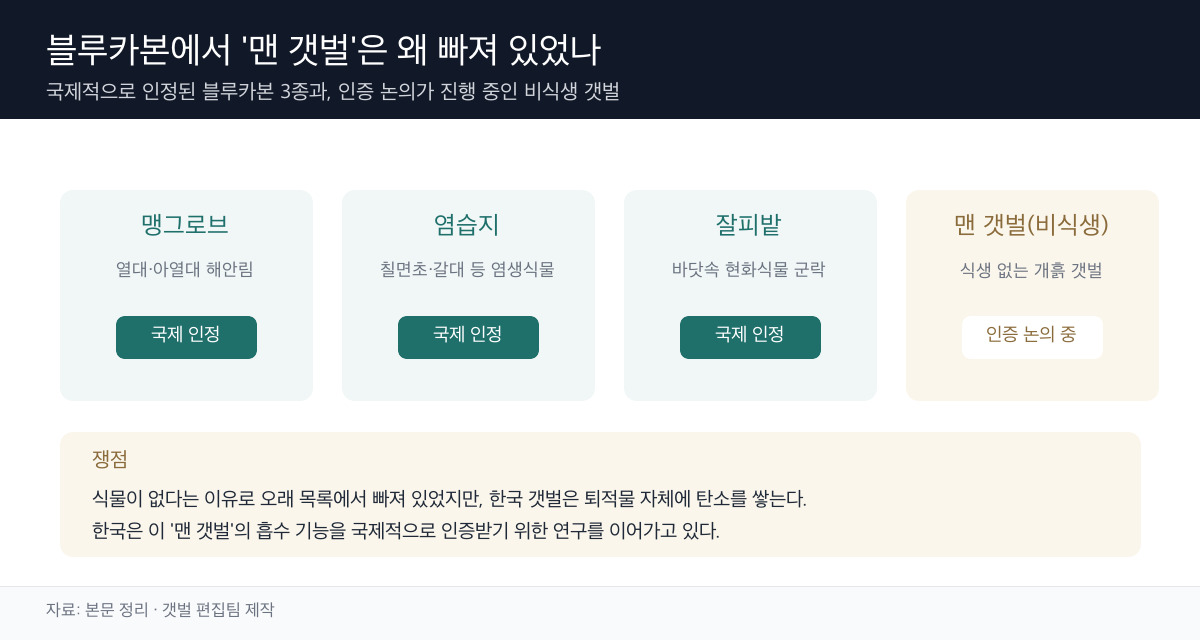 블루카본 3종 정리 도표