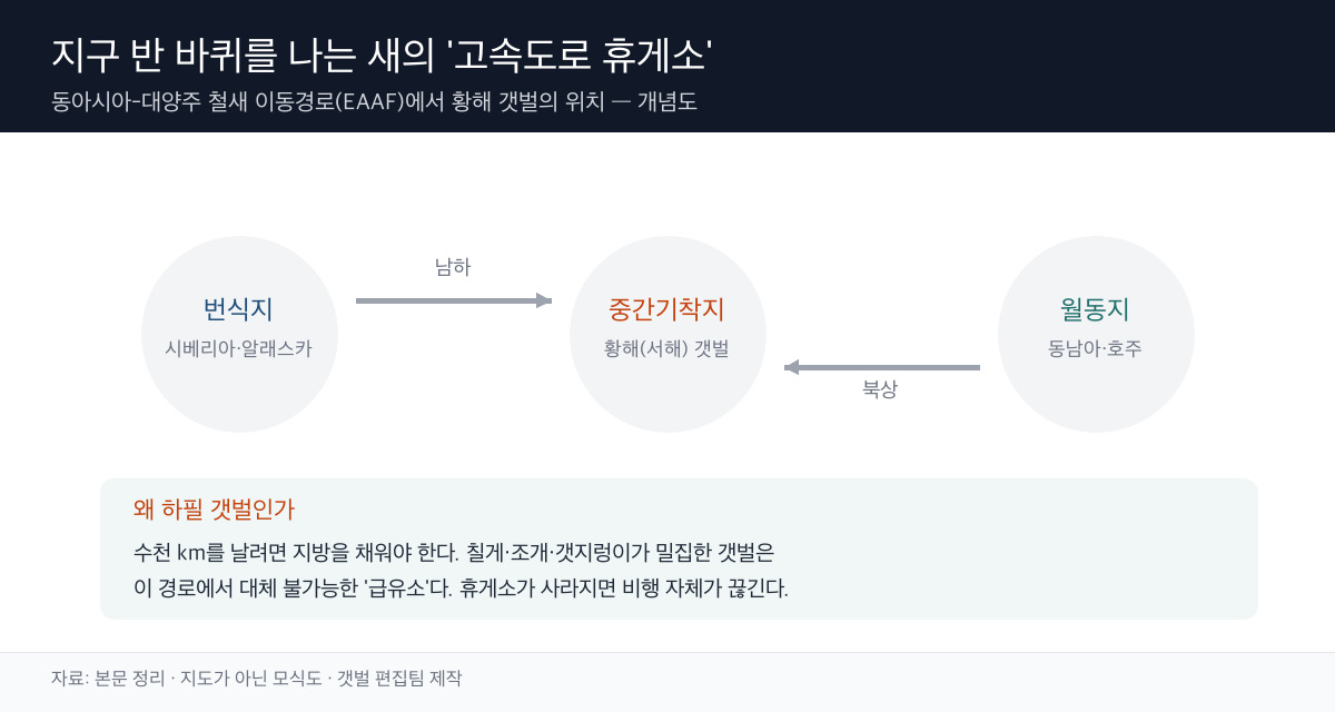 EAAF 이동경로 개념도