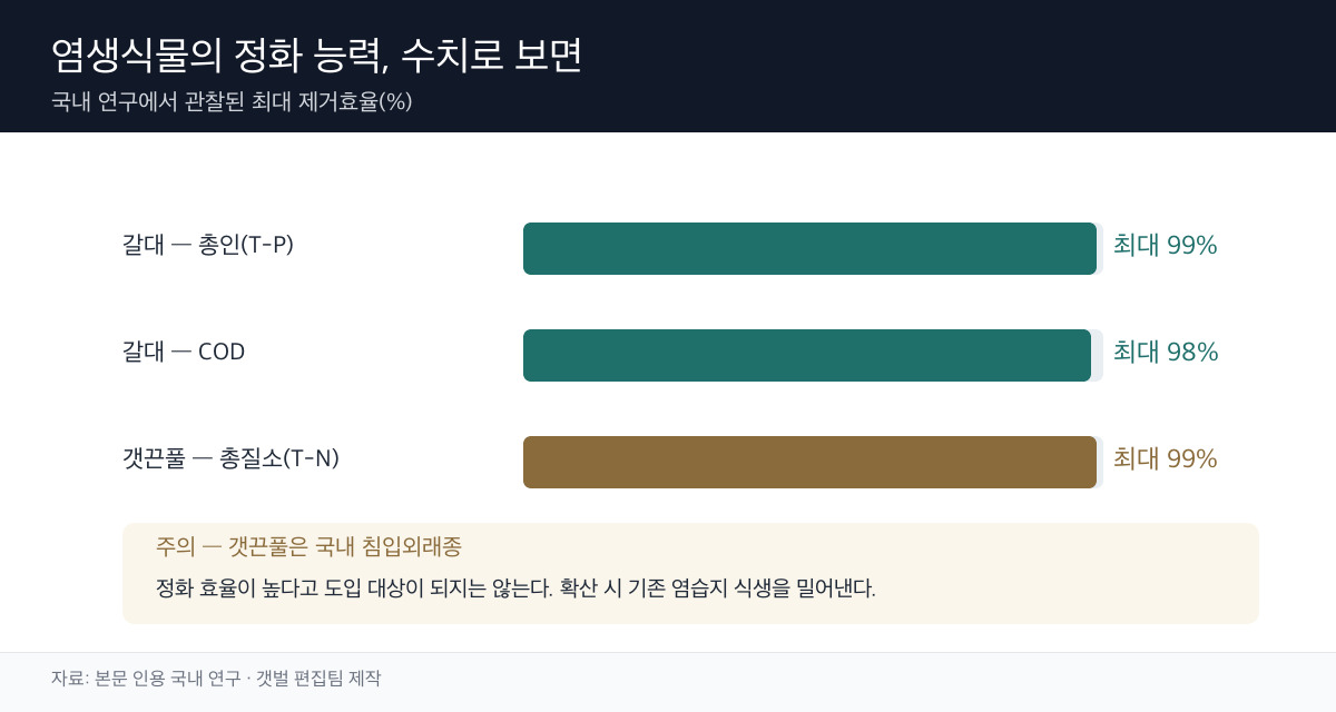 염생식물 정화 능력 도표