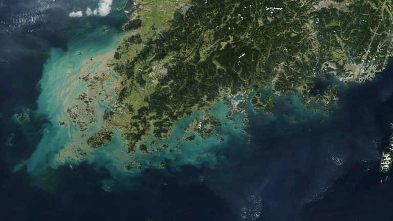 한국 서해안 앞바다의 퇴적물을 촬영한 MODIS 위성사진