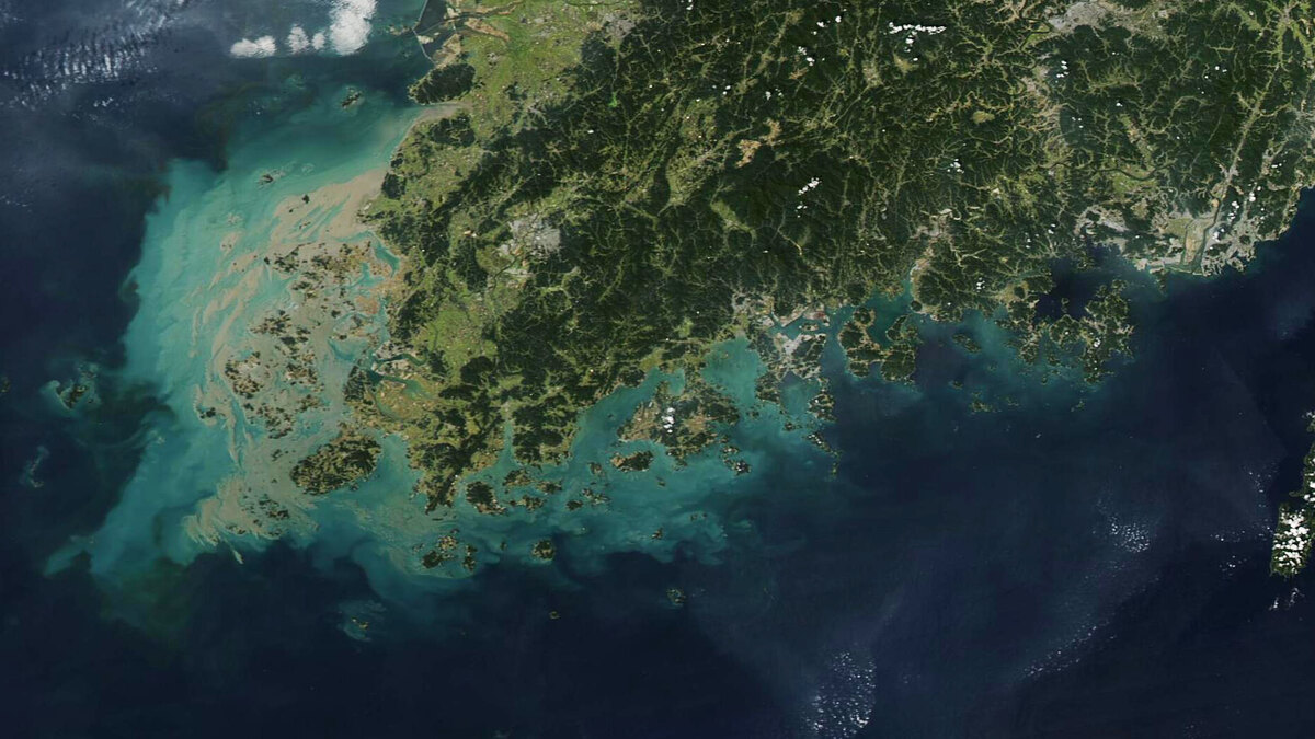 한국 서해안 앞바다의 퇴적물을 촬영한 MODIS 위성사진